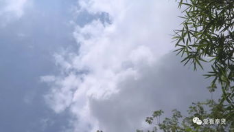 關注 云雀 將為申城帶來涼爽 但風雨過后氣溫仍會持續升高