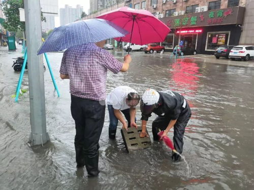 云雀 登陸上海,為什么雨下在浙江 今天一早我們都經歷了什么