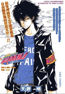 求家庭教師云雀的帥圖 要帥酷的哦 精品的都來吧