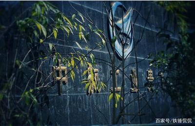 身世坎坷的貴州云雀汽車(1)艱難起步遇貴人,成也富士敗也富士