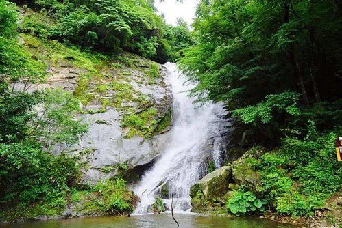 長壽之鄉安徽金寨 廣西上林 浙江麗水的夏天,綠得發慌