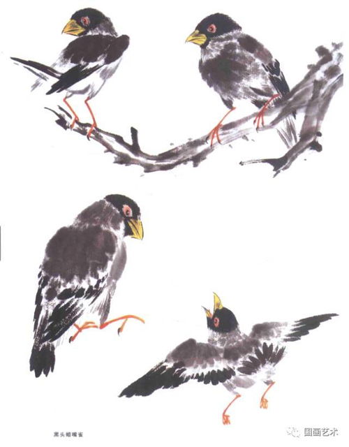 國畫寫意鳥兒100只,什么形態(tài)都有,夠用了 學(xué)習(xí)的好素材