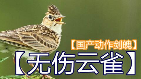 單命擊敗云雀以及坤離