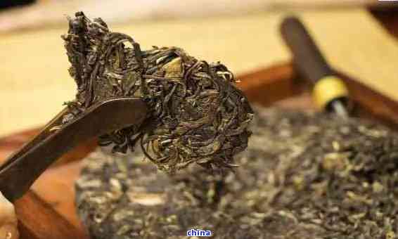 云南特色茶品:探究云雀普洱茶的獨特魅力與品質(zhì)